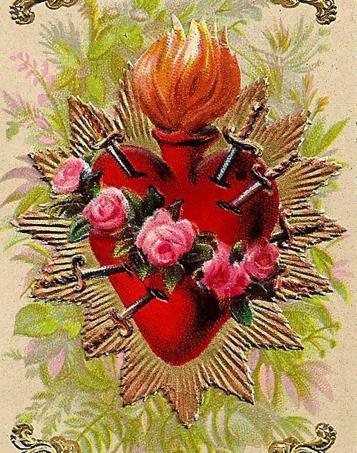 Image result for images of the immaculate heart